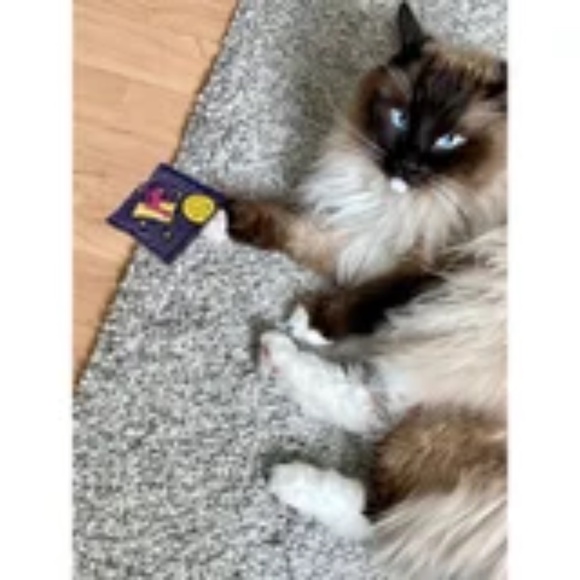 REST🥳CK ALERT‼️ Busted! Oh Shit, It's The Fuzz! Catnip Toy - Picture 3 of 3